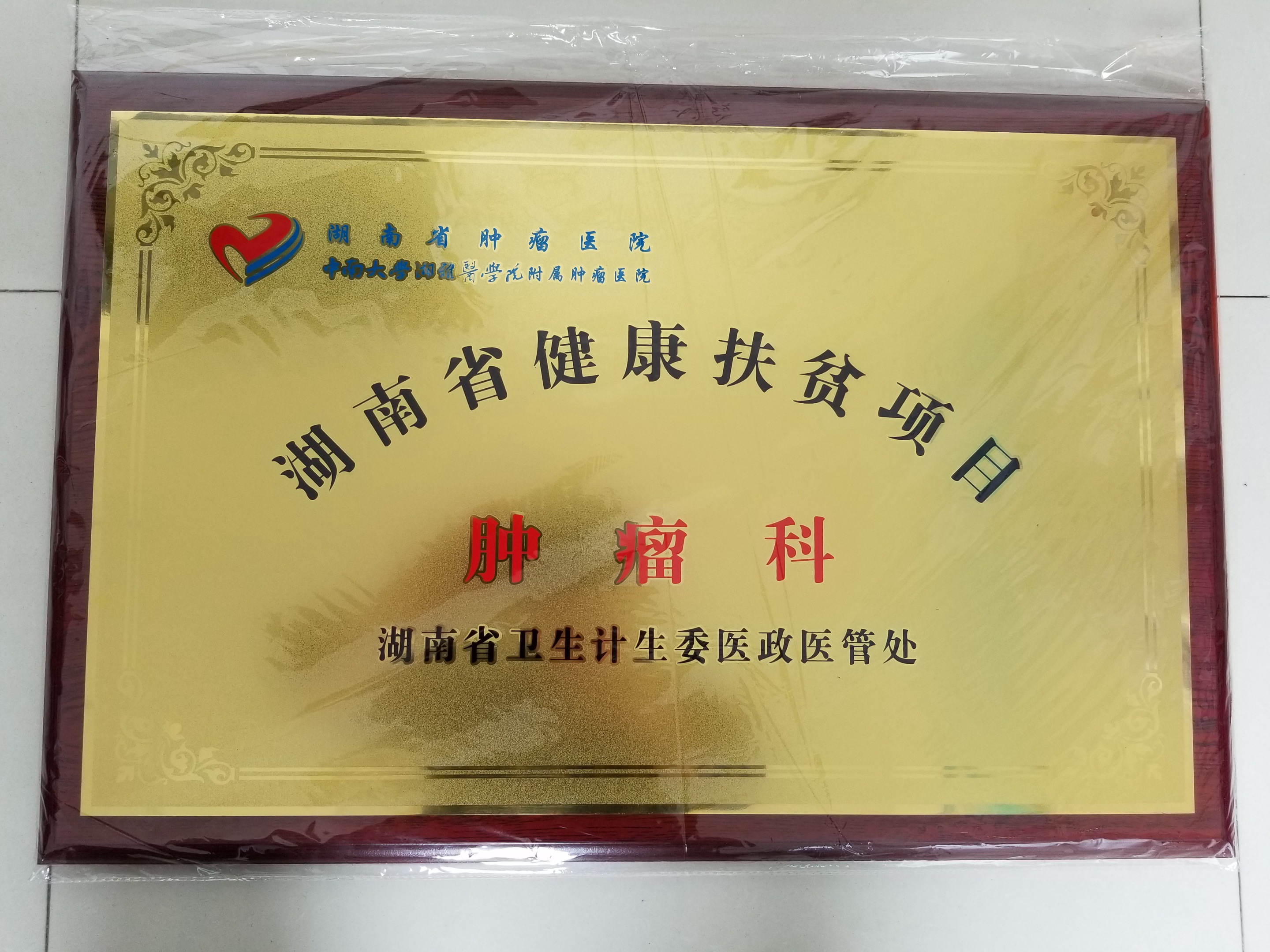 20180331_114830.jpg