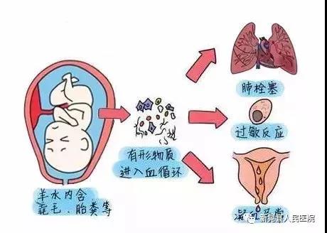 微信图片_20190203090024.jpg