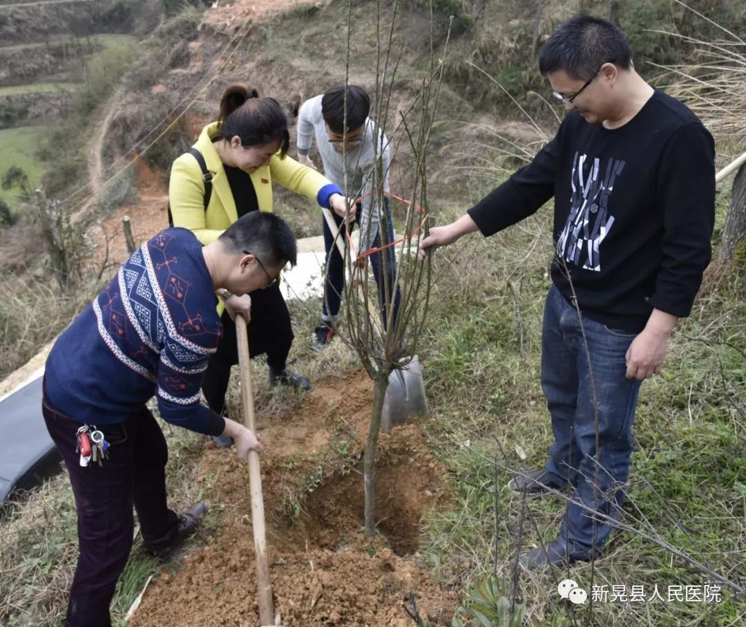 微信图片_20190318095157.jpg